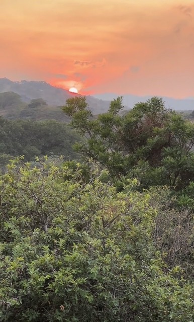 The sun going down behind hills, seen over trees