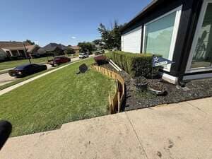 {{ custom_values.service_4 }} in {{custom_values.area_2})