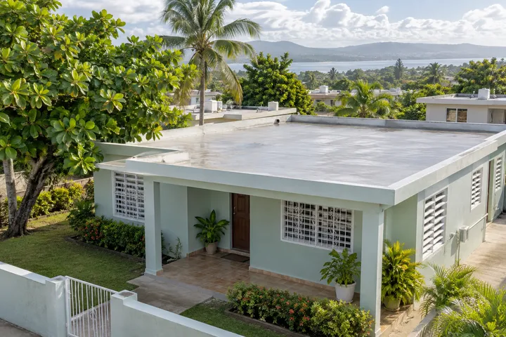 Imagen conceptual: Vivienda de color verde claro con techo plano y vegetación tropical.