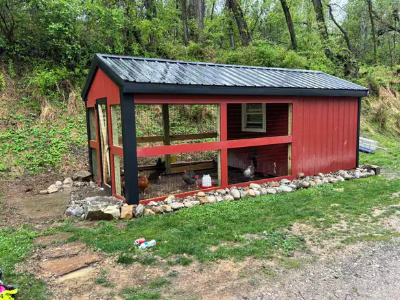 Framing and exterior work on Ben's personal chicken coop