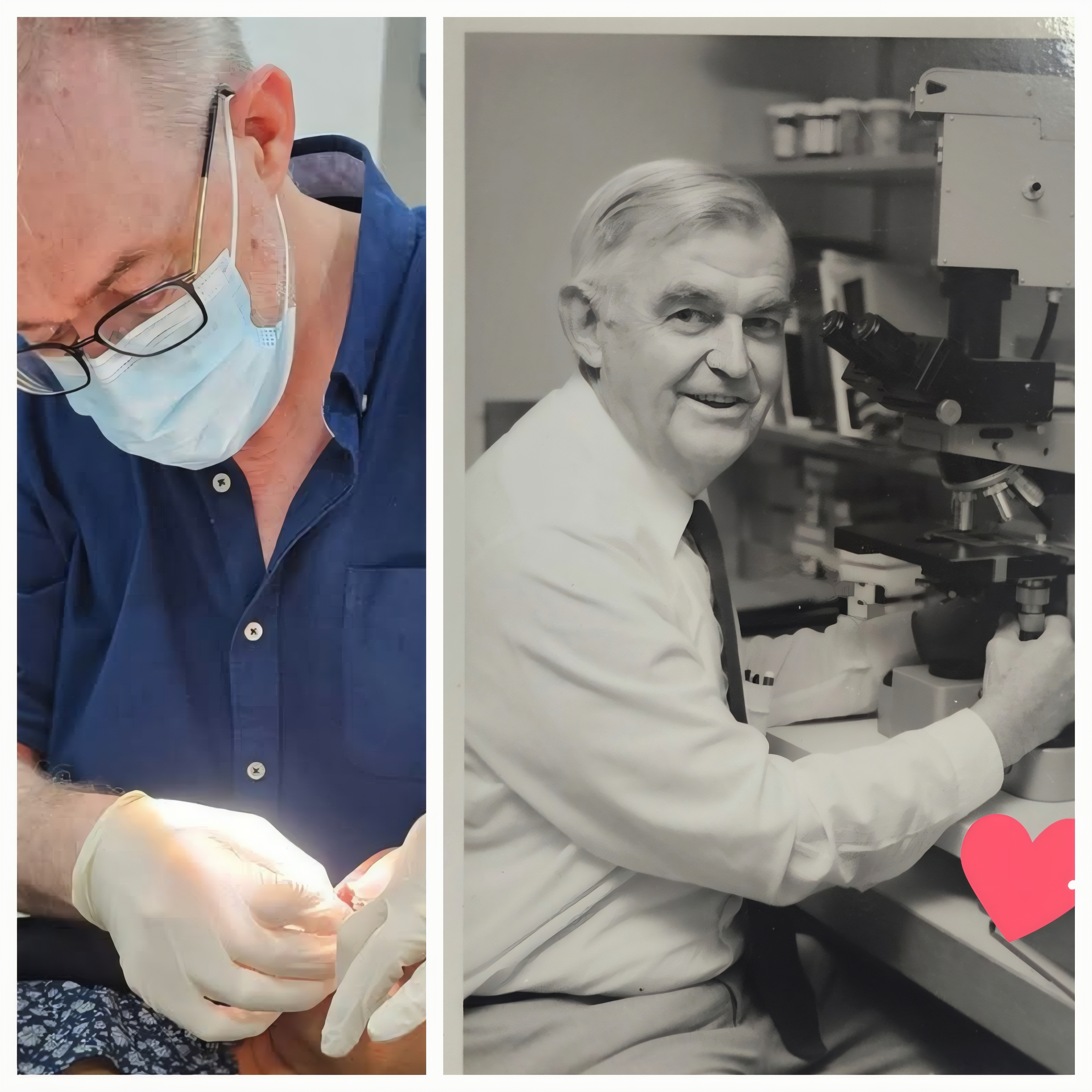 Westlake Dental Community 12