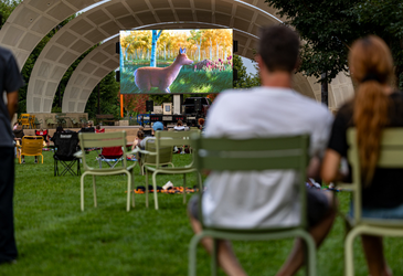 Families watching an outdoor movie on an LED screen on the lawn
