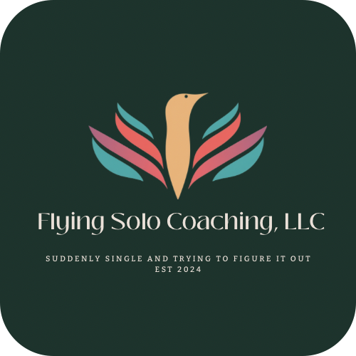 Flying Solo Coaching