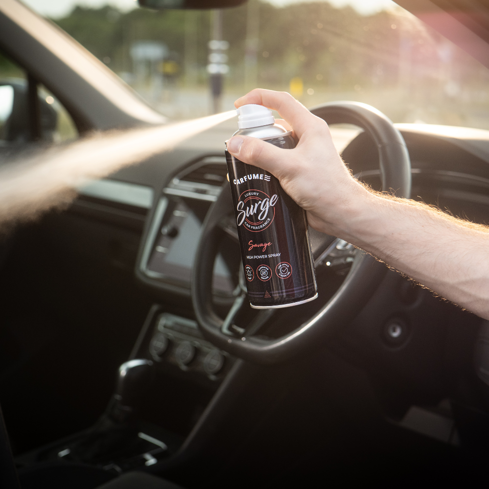 Odor Removal in Mississauga