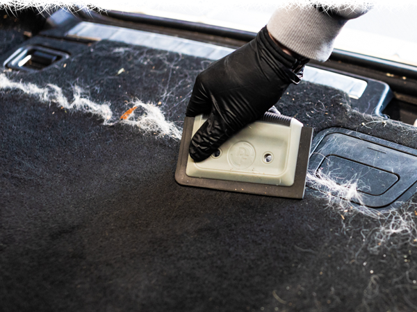 Pet Hair Removal in Mississauga