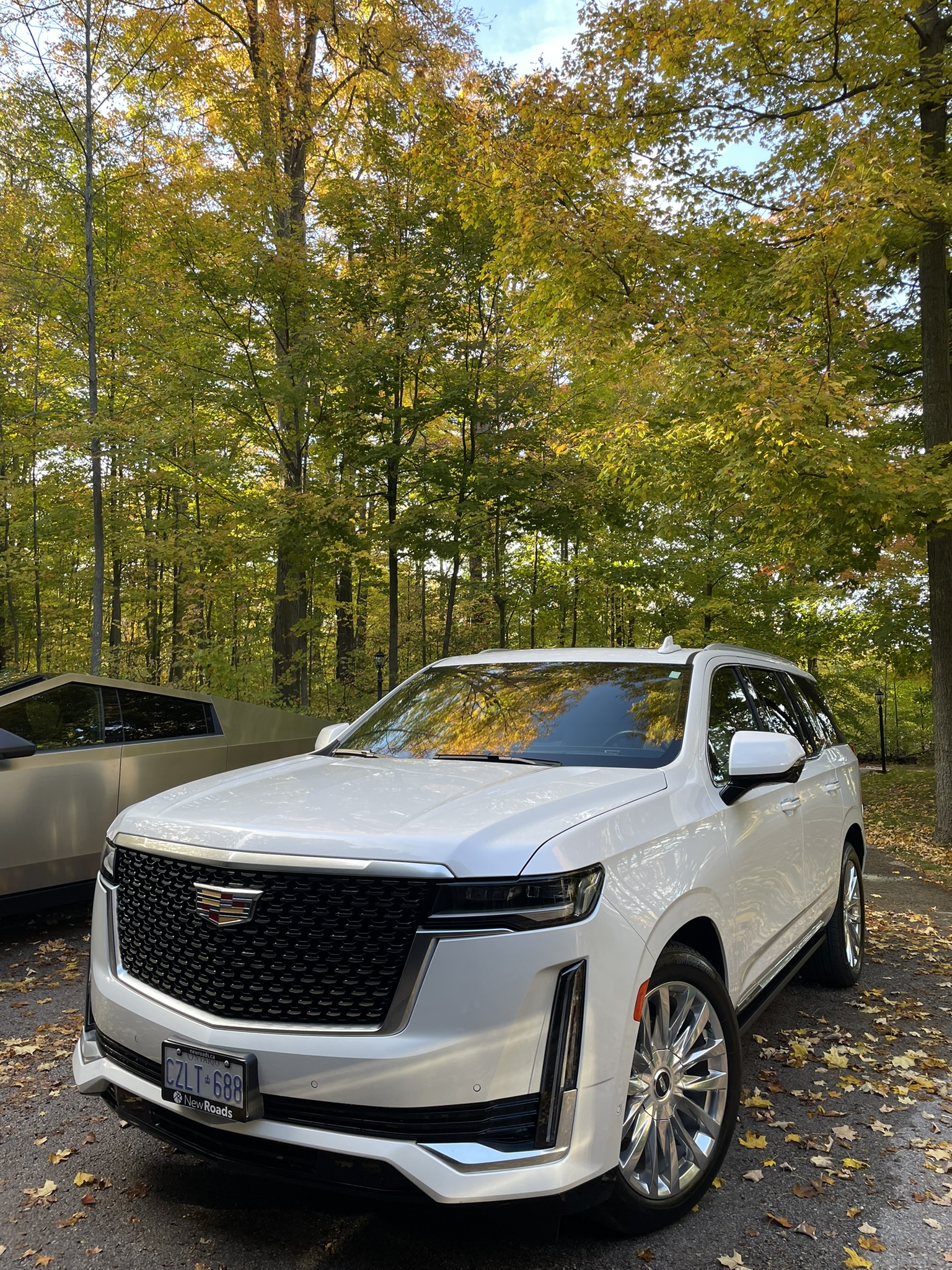 Paint Decontamination Mississauga