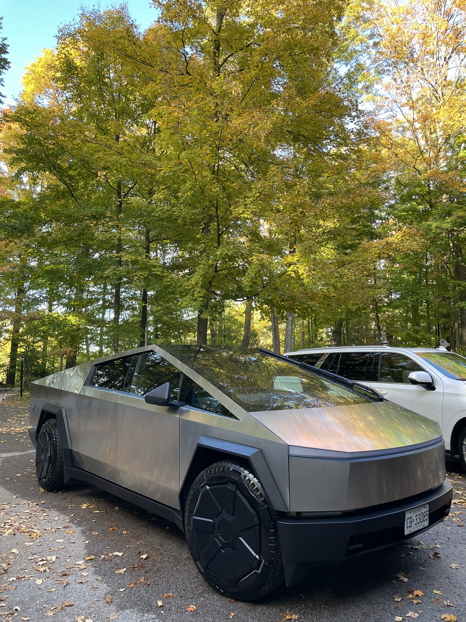 Carpet Extraction Mississauga