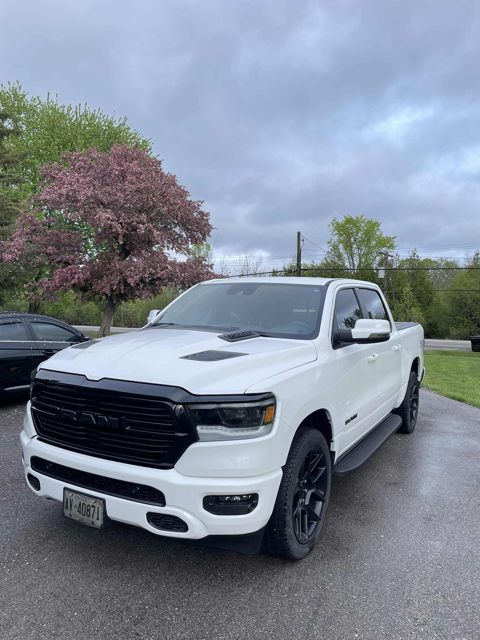 Paint Decontamination Mississauga