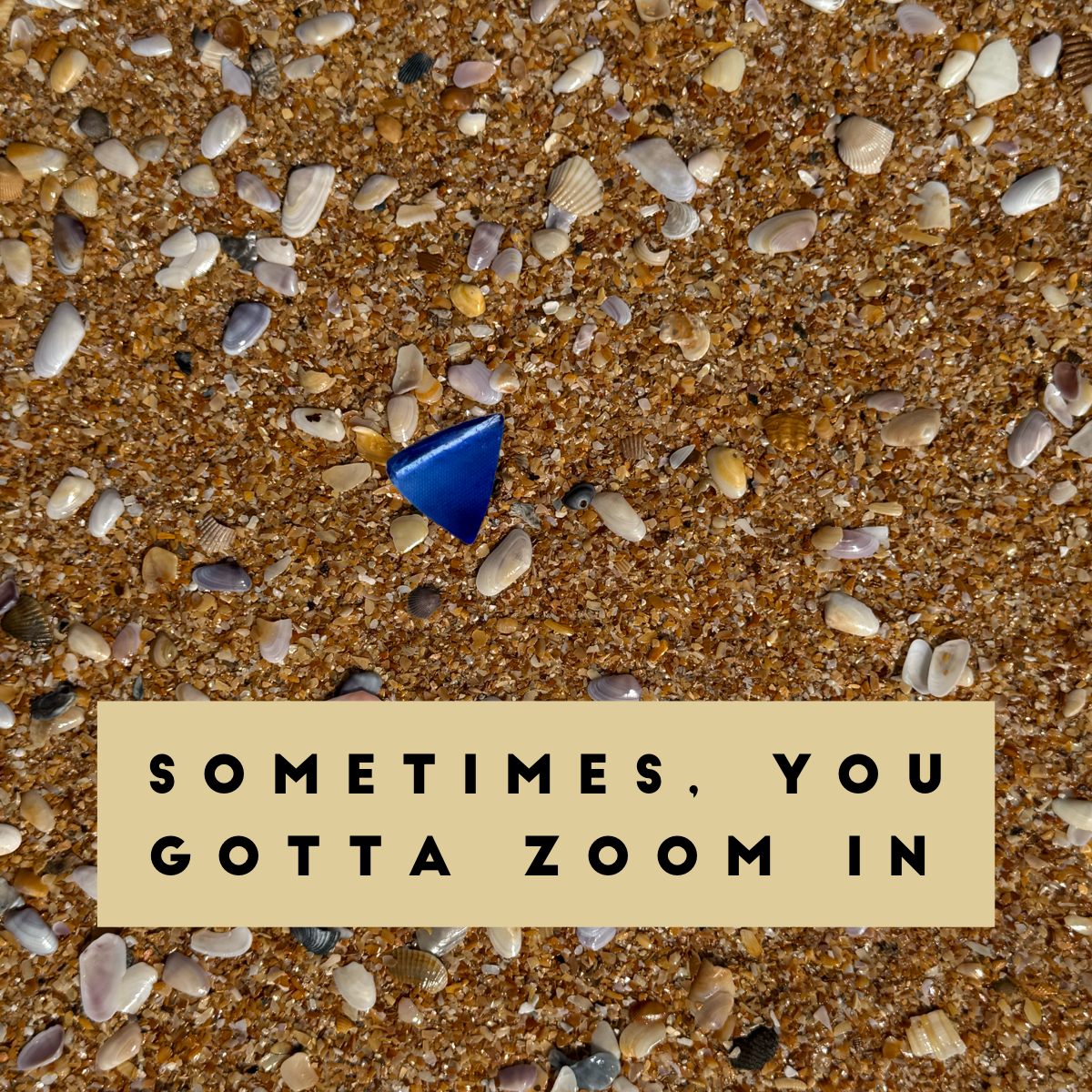 Zoom In - Zoom Out: Lessons from the Shoreline and Life Itself