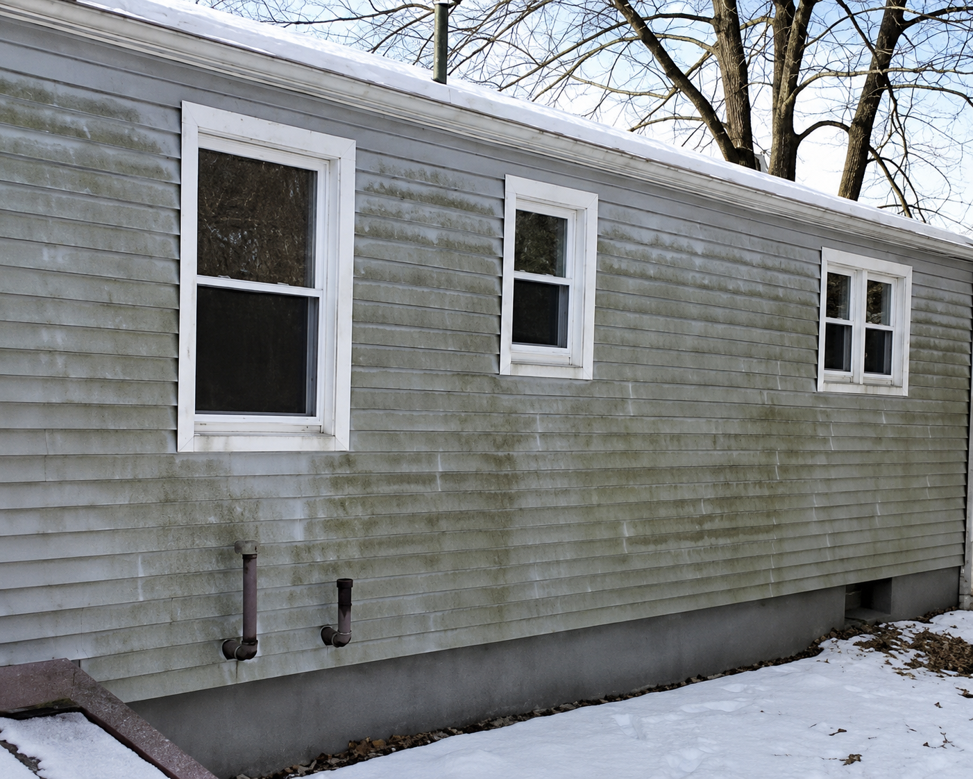 Residential siding with heavy algae and organic buildup before soft house washing by Thin Red Line Pressure Washing in Clifton Park, NY.
