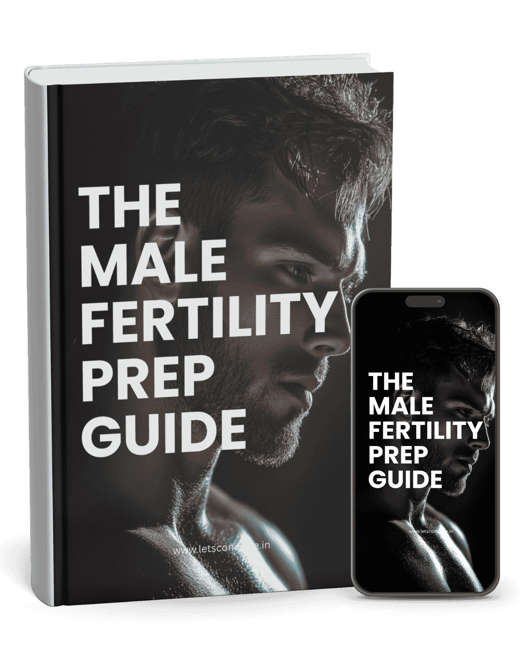 Male Fertility Prep Guide