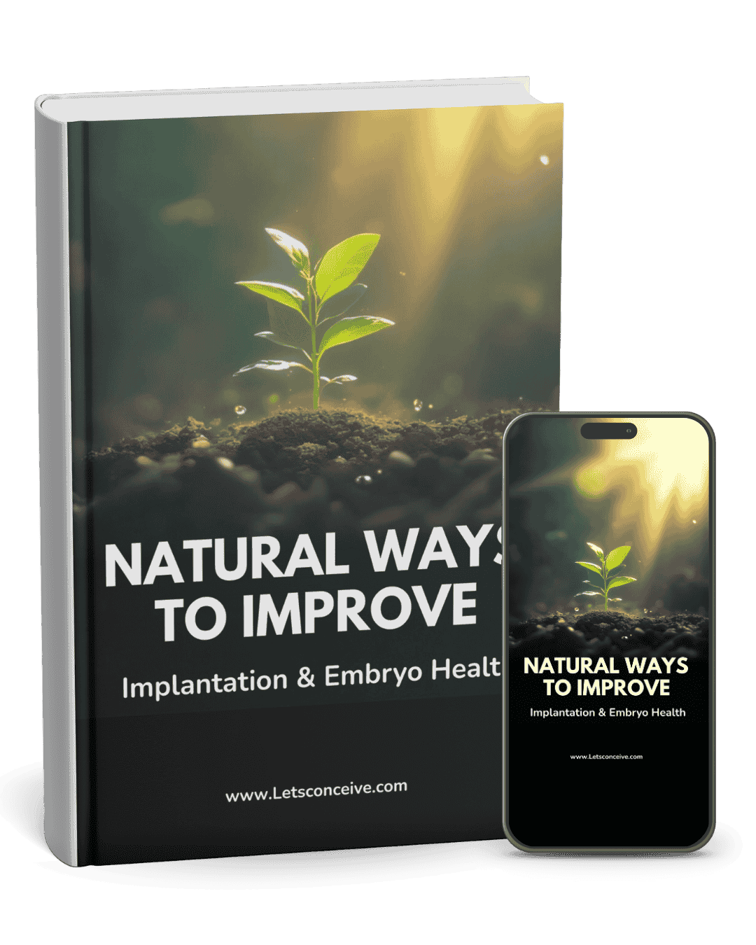 Natural Ways to Improve Implantation & Embryo Health