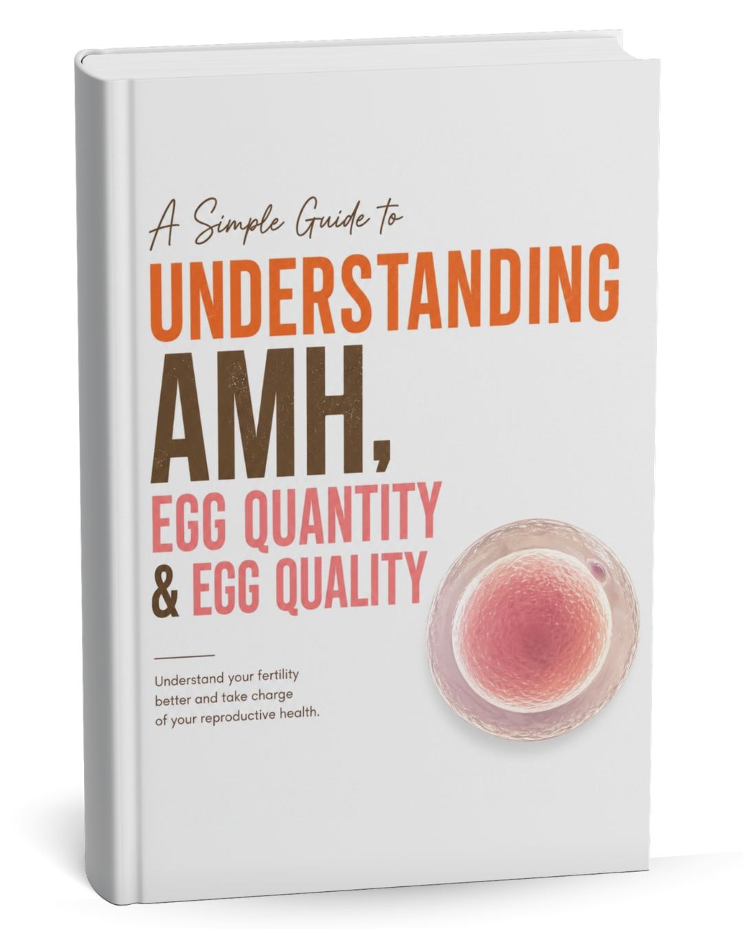 Understanding AMH, Egg Quantity & Egg Quality