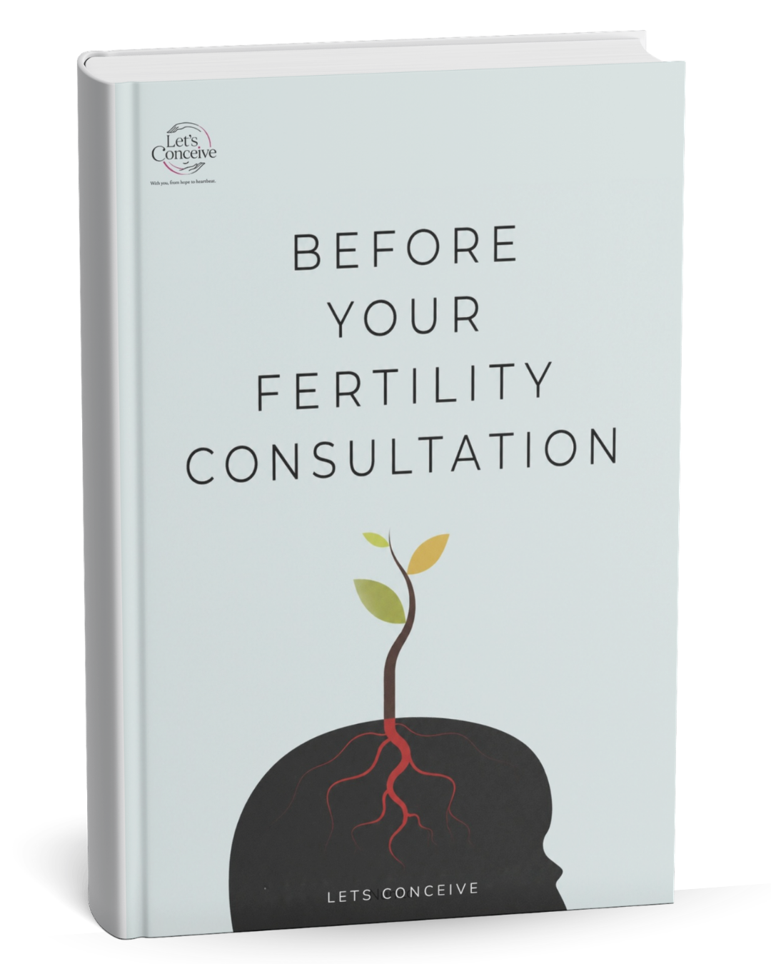 Before Your Fertility Consultation