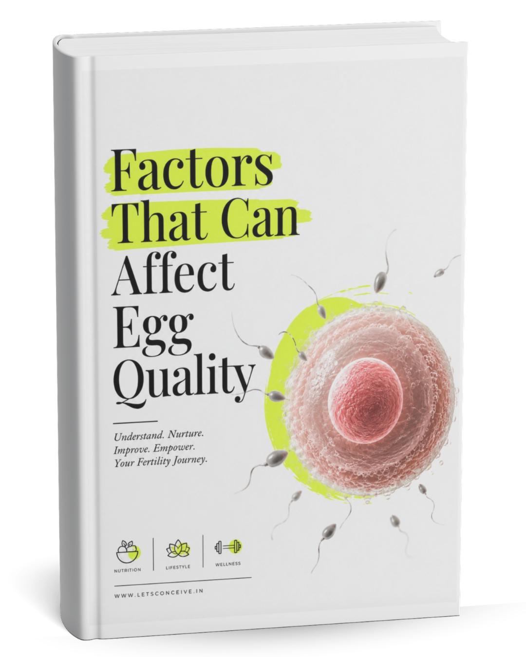 5 Factors That Can Affect Egg Quality