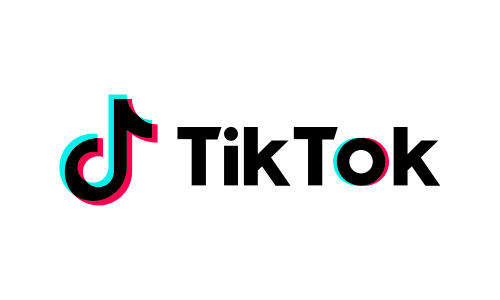<h3>TikTok Ads</h3>