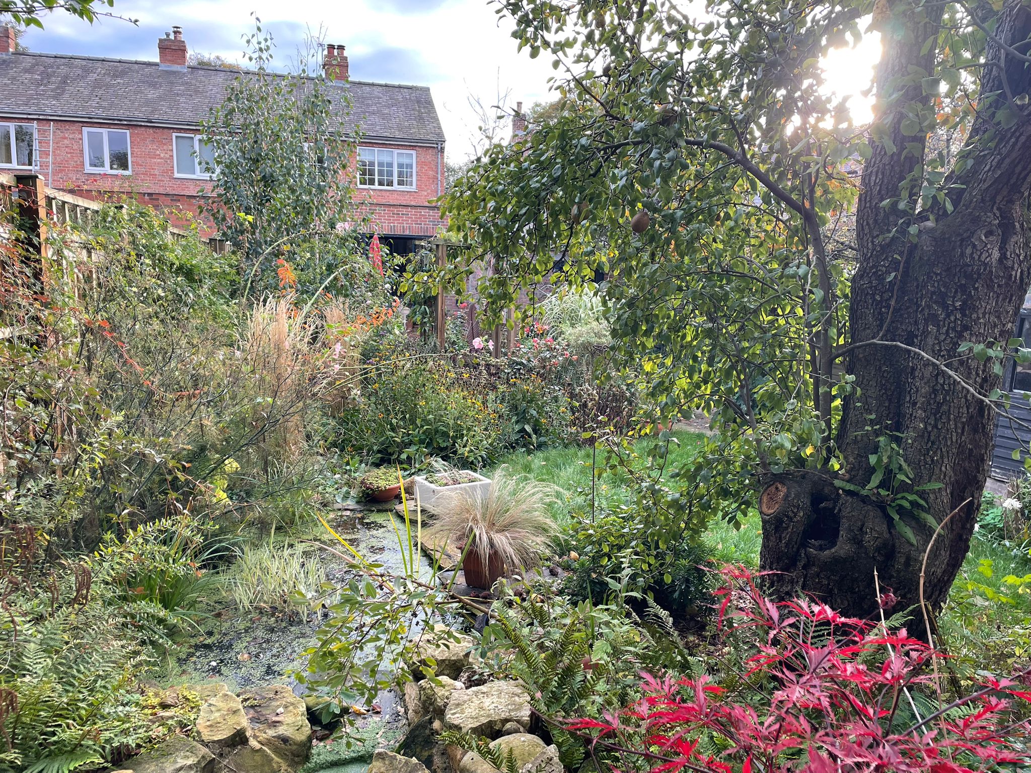 Ripon garden