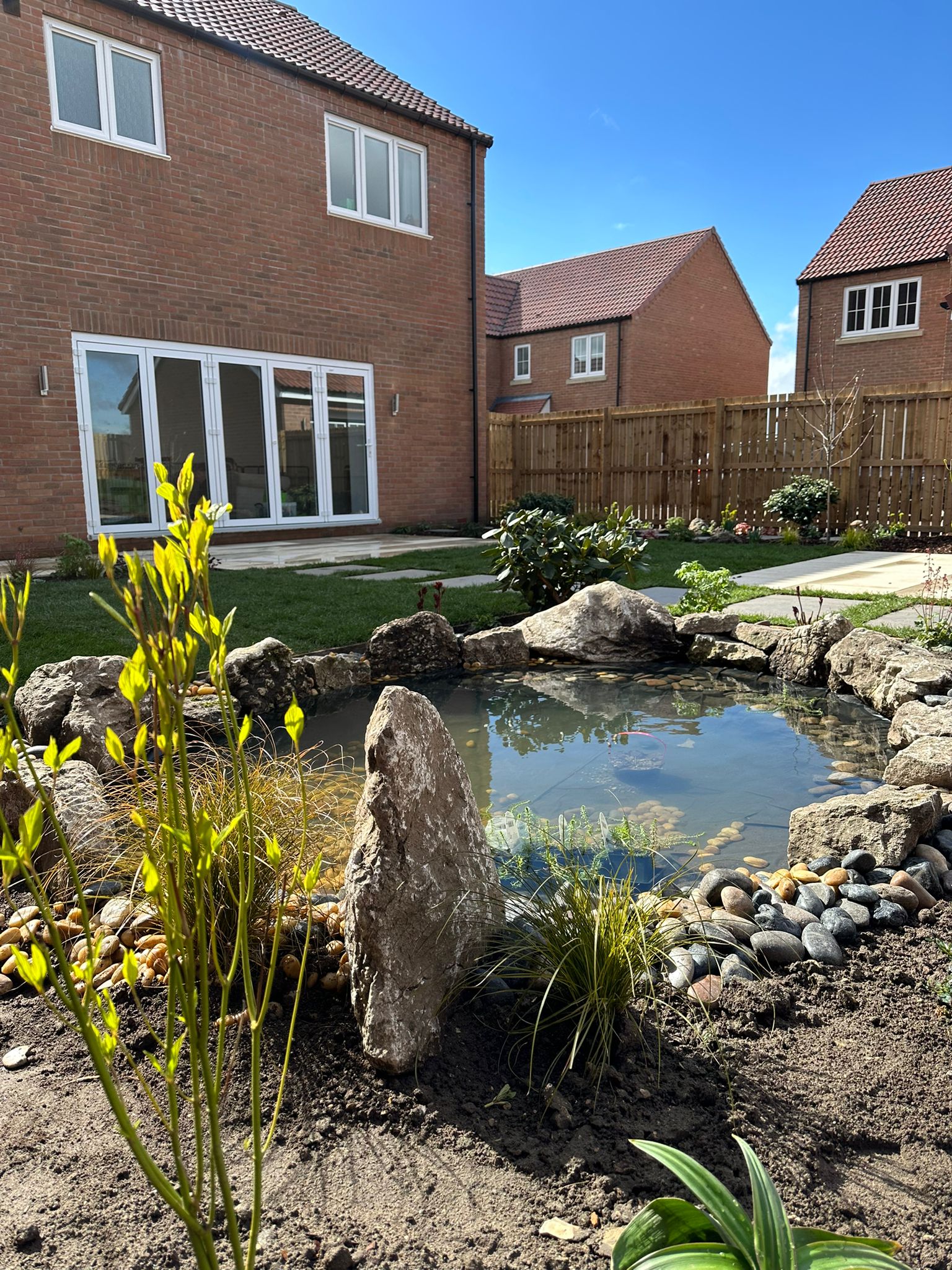 Nature pond