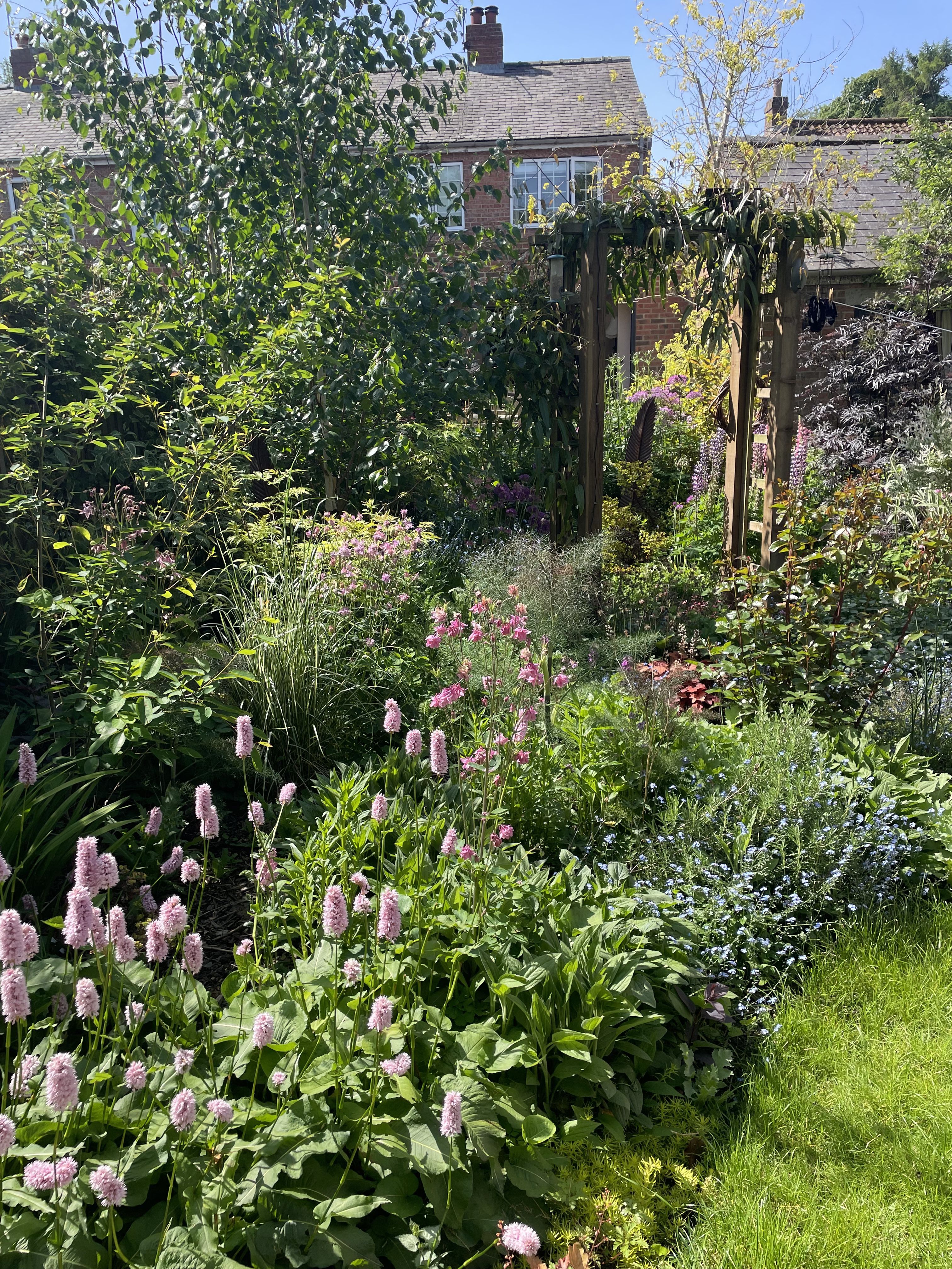 Layered herbaceous borders with ornamental grasses along a winding path in Ripon