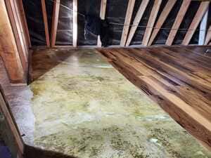 {{ custom_values.service_4 }} in {{custom_values.area_3})