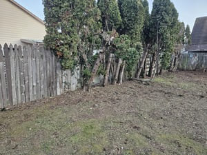 {{ custom_values.service_1 }} in {{custom_values.area_7})