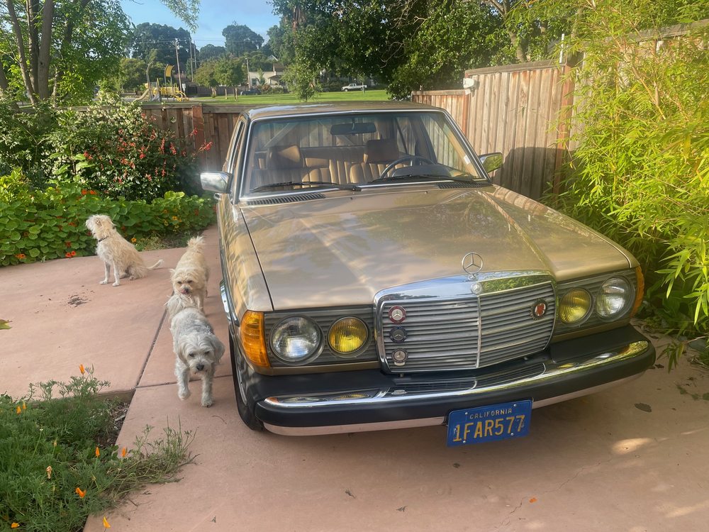Mercedes-Benz Repair in San Francisco