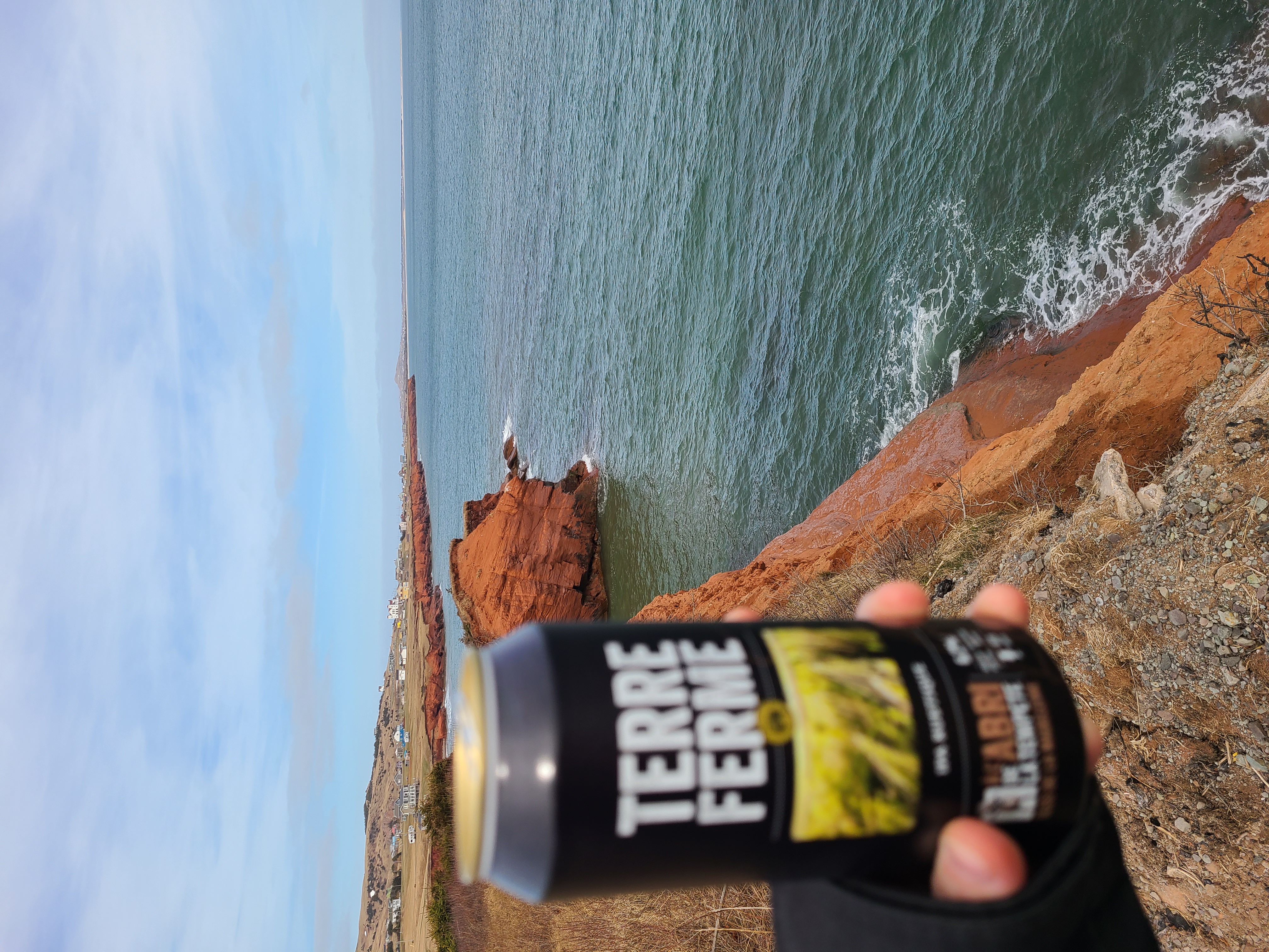 Bière artisanale
