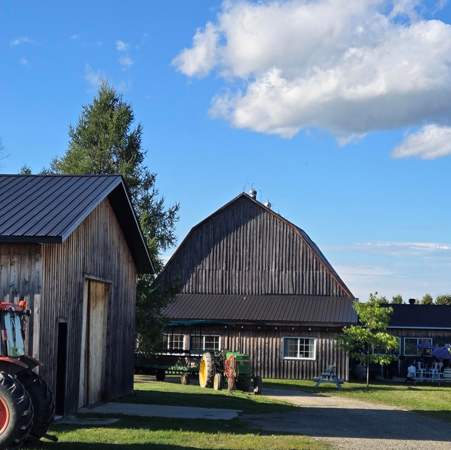 Vignoble La Bauge — biodiversité et vignes