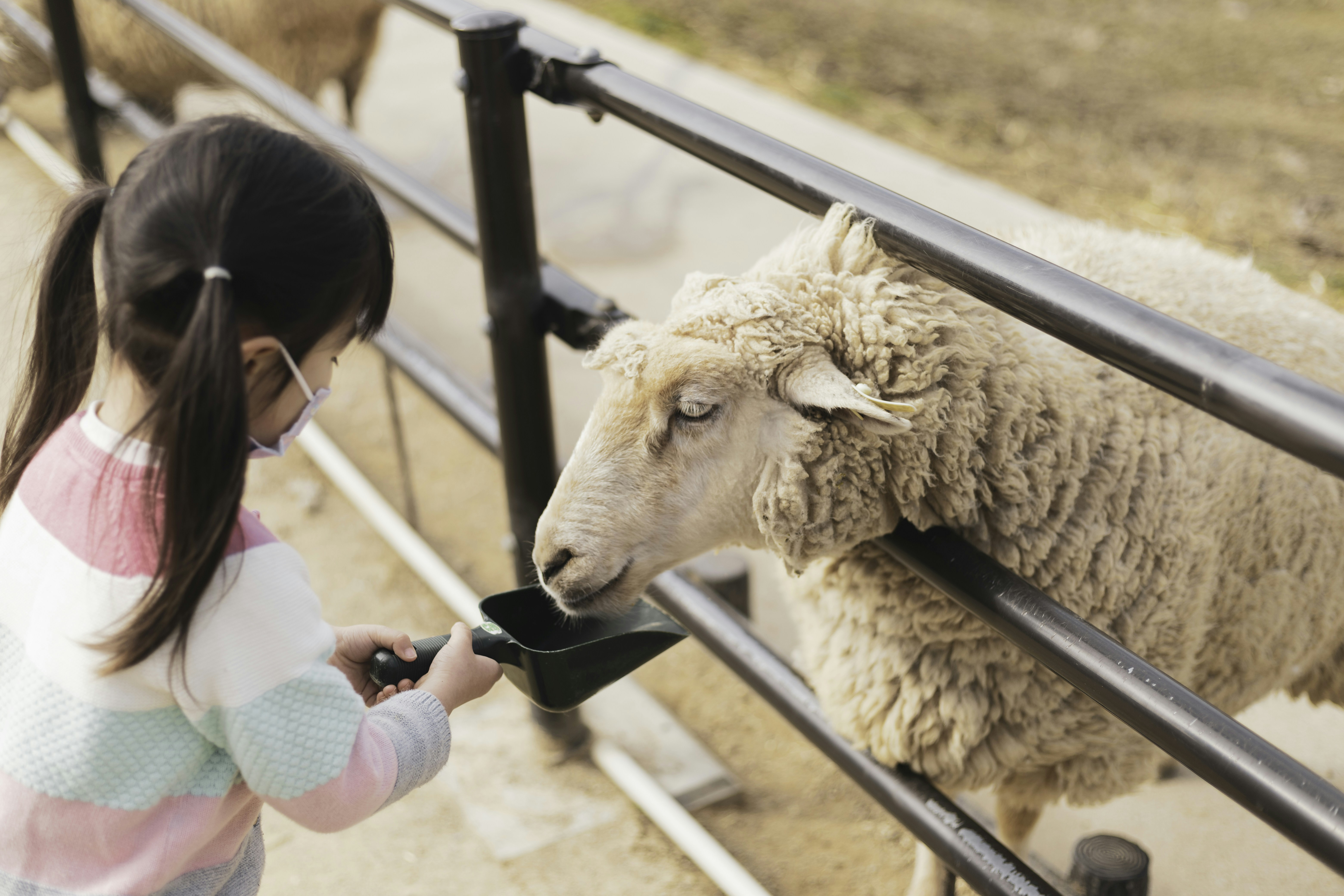 children with animals children with animals