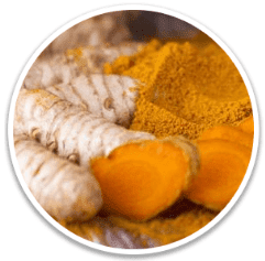 Turmeric Rhizome