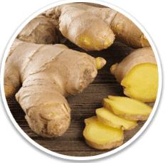 Ginger Rhizome: