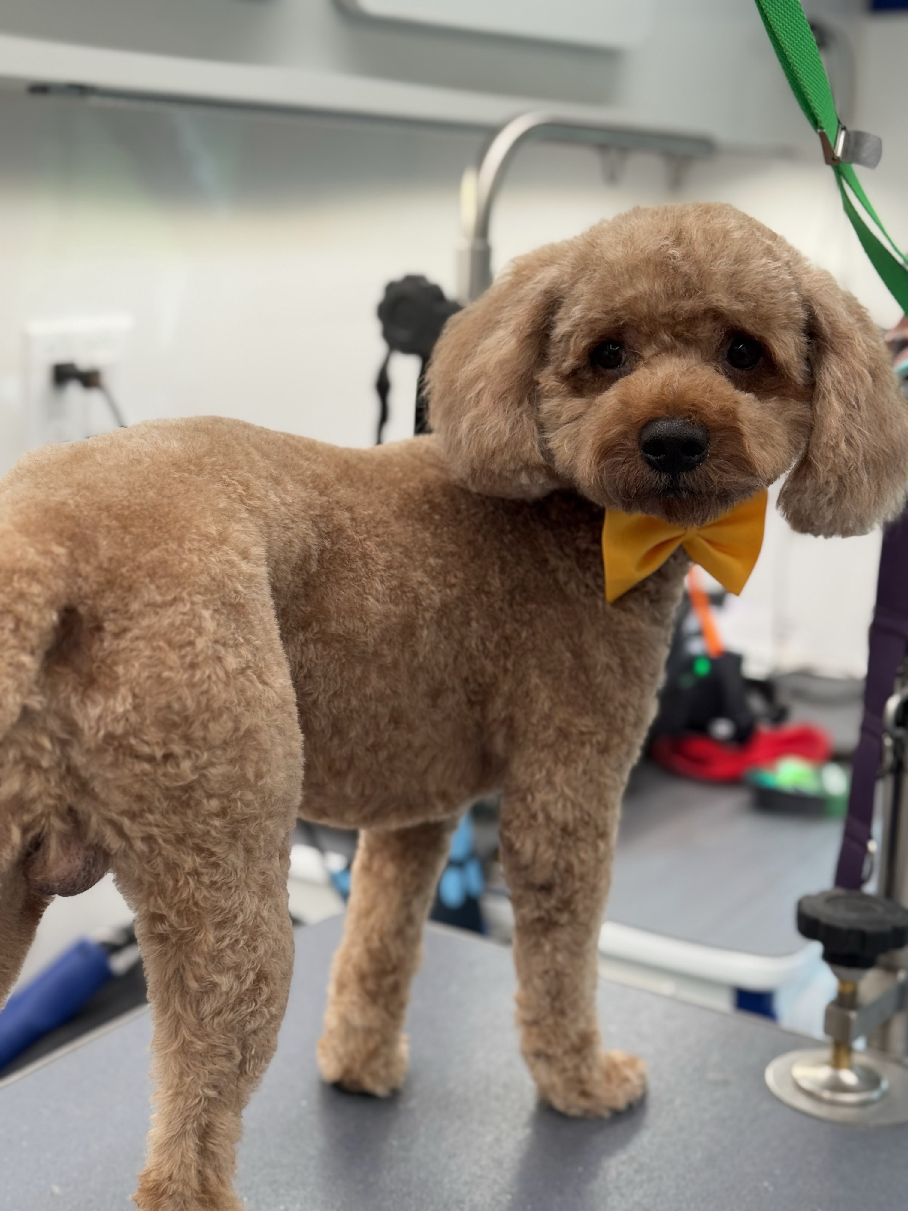 Full Groom Package