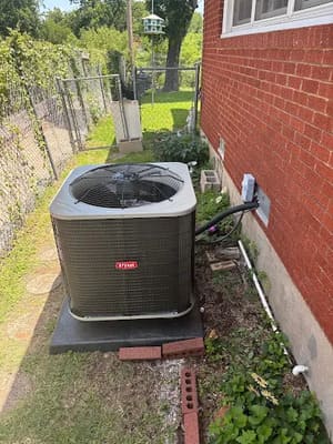 {{ custom_values.service_4 }} in {{custom_values.area_2})