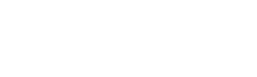The Property Team
