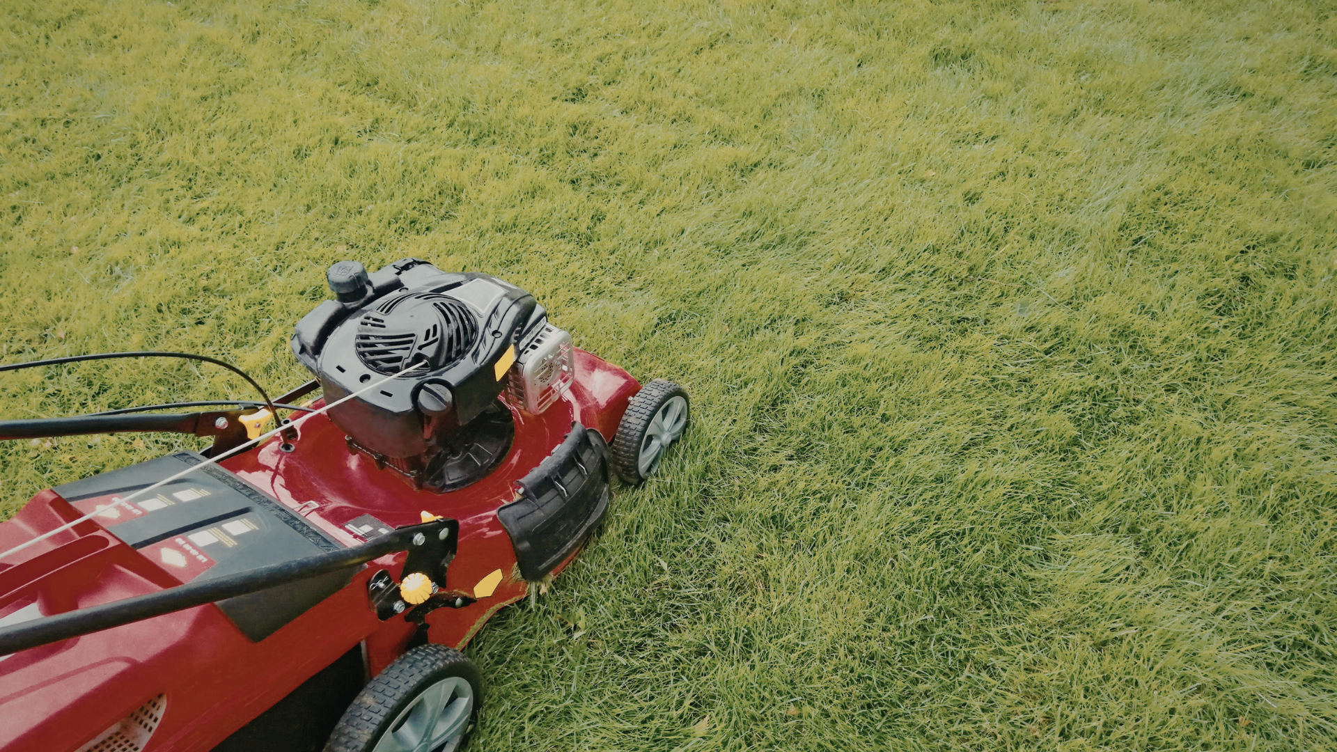 Lawn Mowing & Maintenance