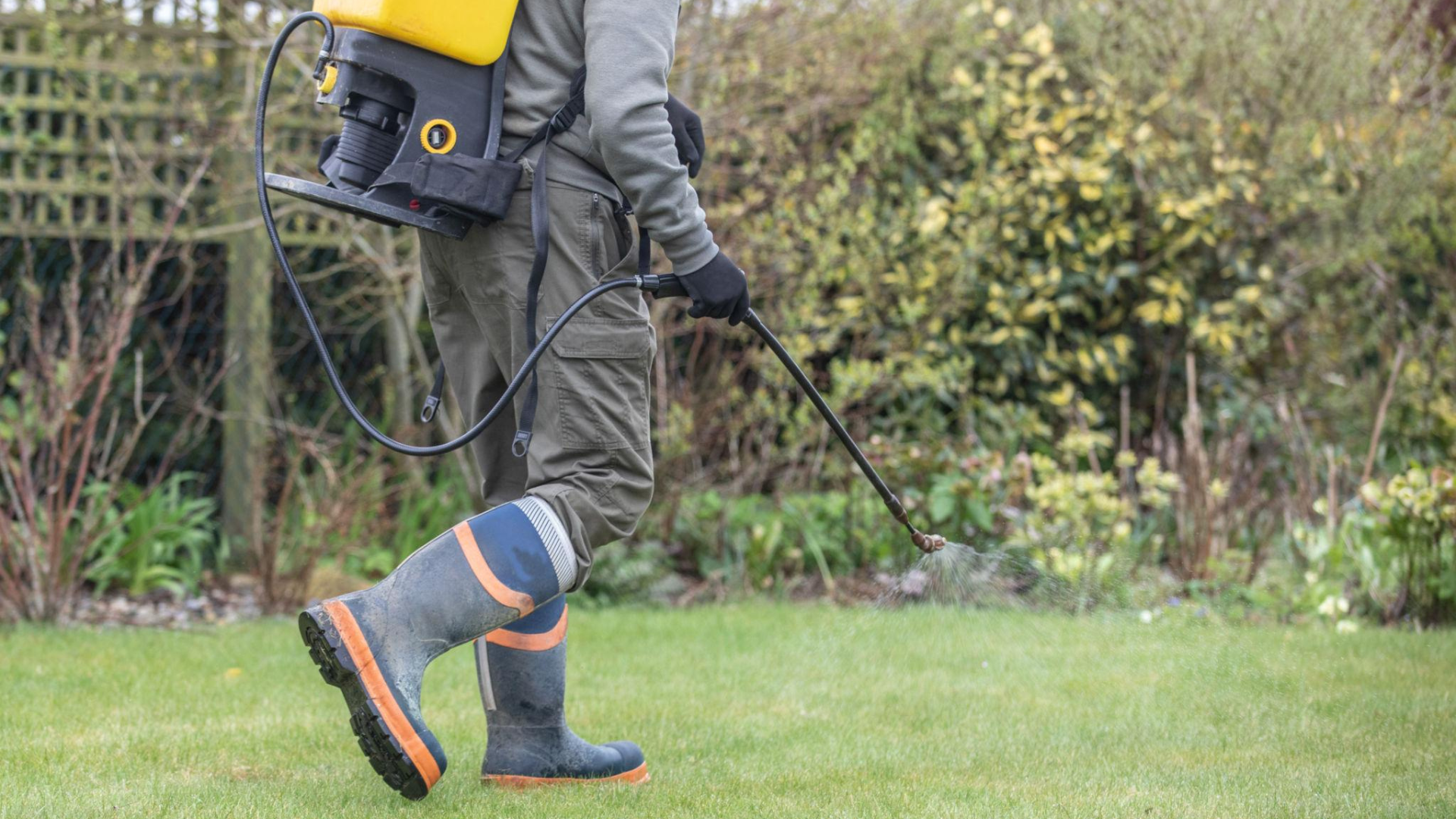 Weed Control & Lawn Treatment