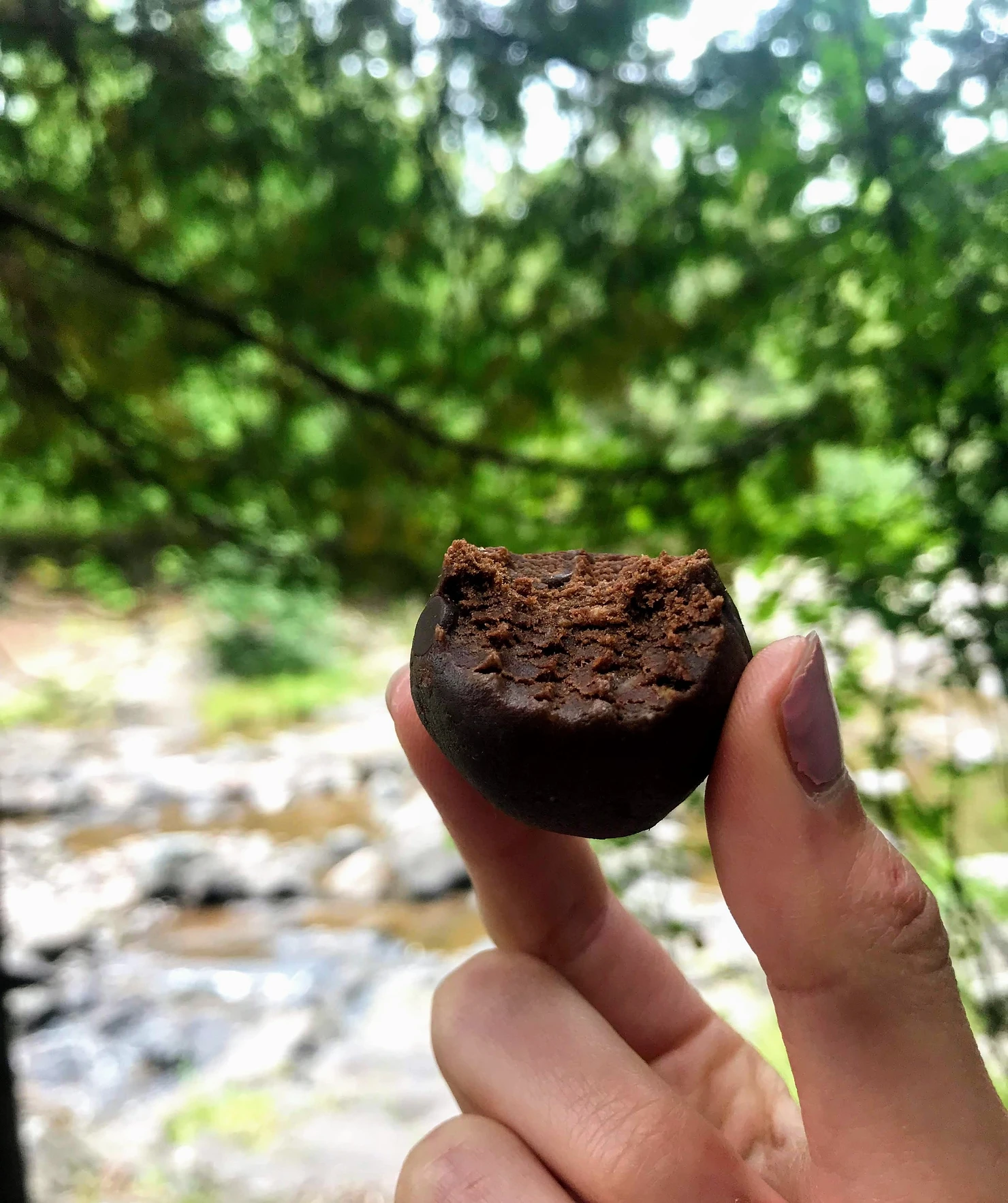 High Protein Brownie Bites