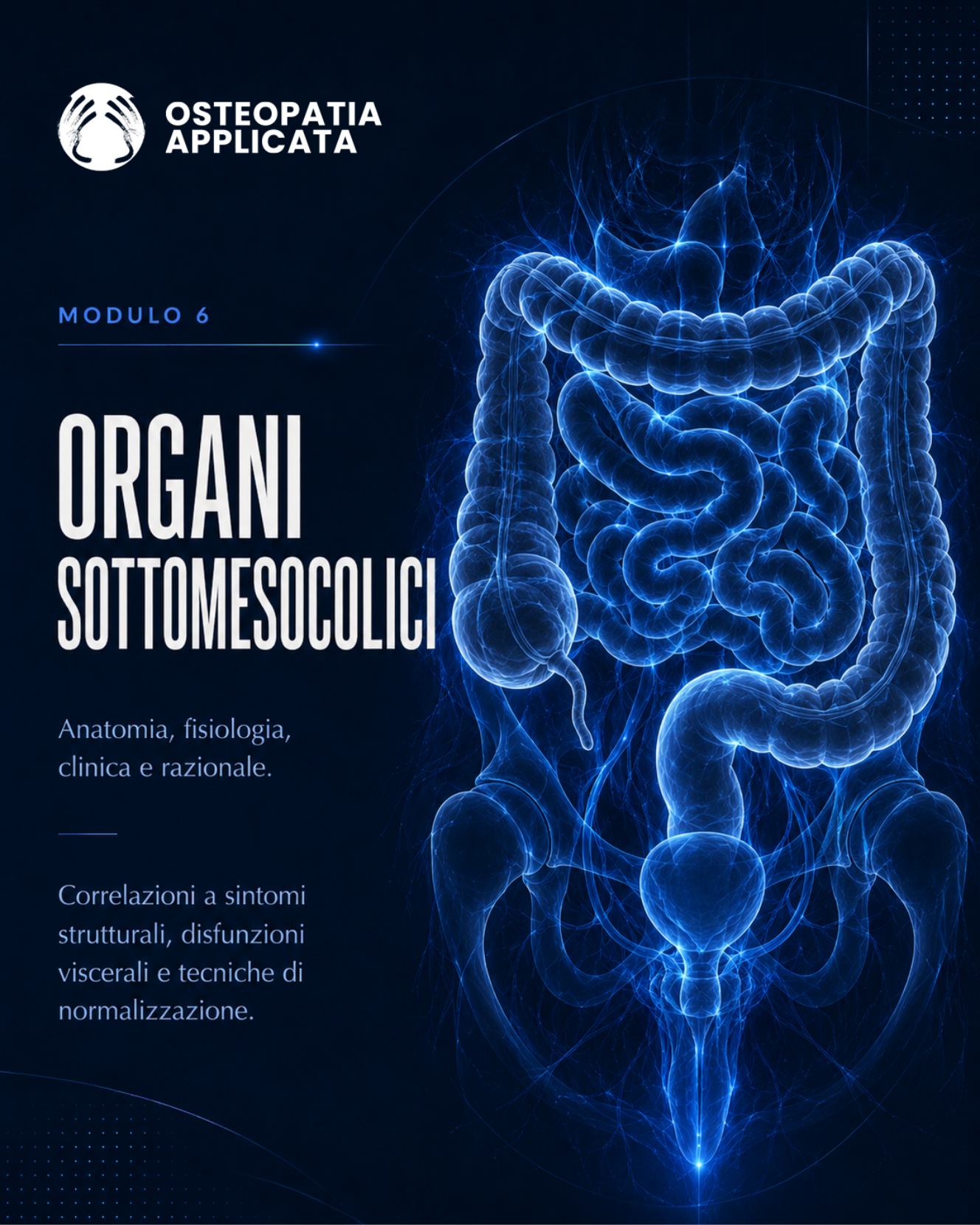 Organi sottomesocolici