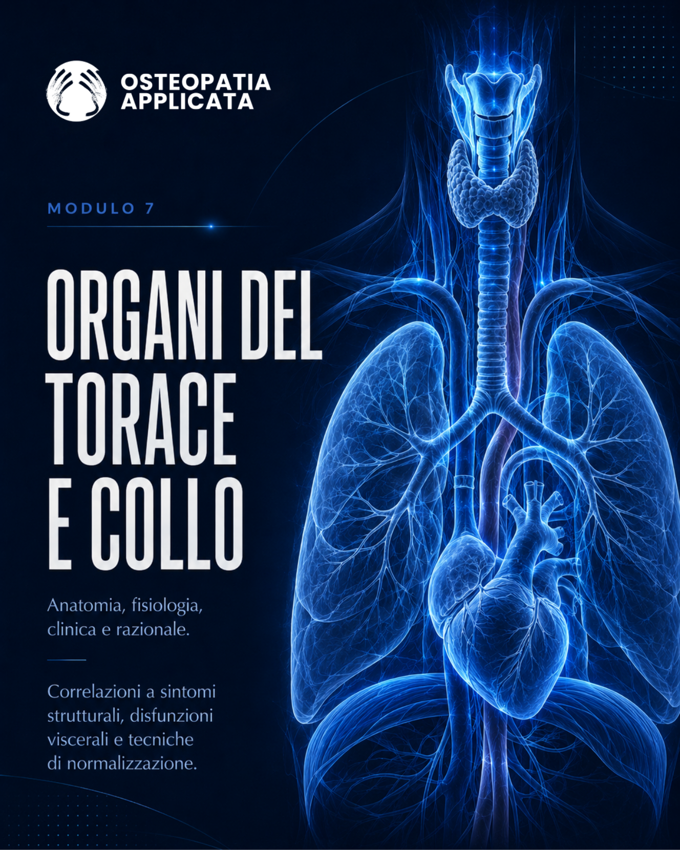 Organi del torace e collo