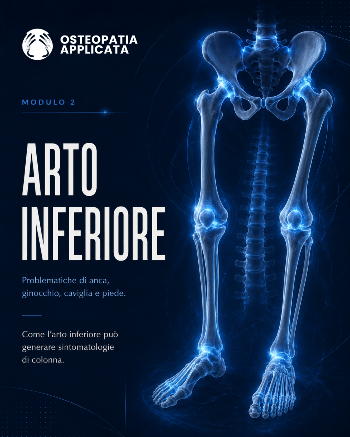Arto inferiore