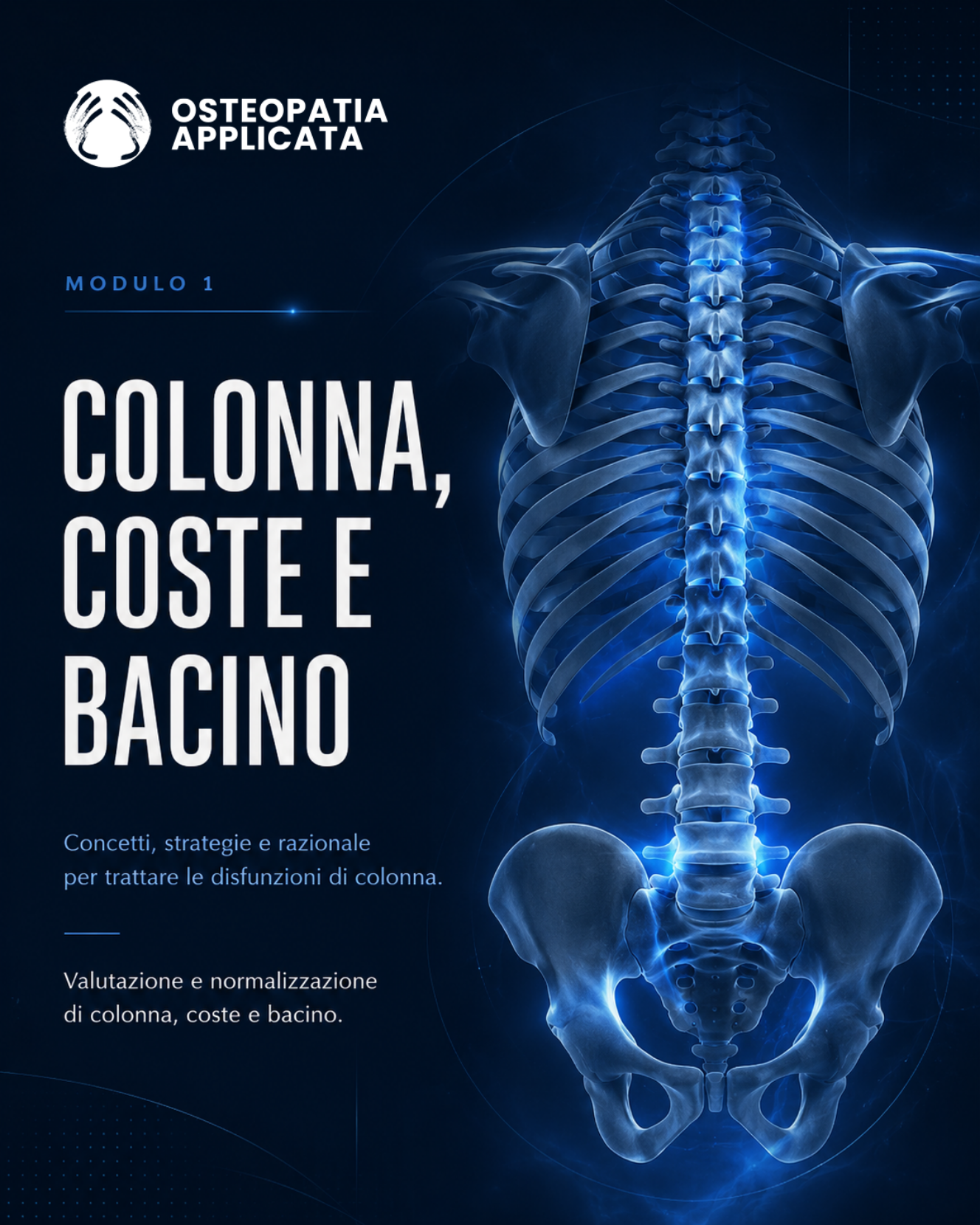 Colonna, coste e bacino