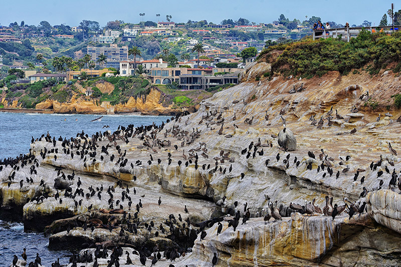 la jolla village photo selected by meimeidream & livinginsandiegoca, we blog living in san diego la jolla village photo selected by meimeidream & livinginsandiegoca, we blog living in san diego