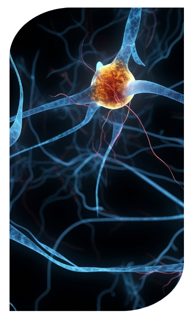 Chiropractic Alignment