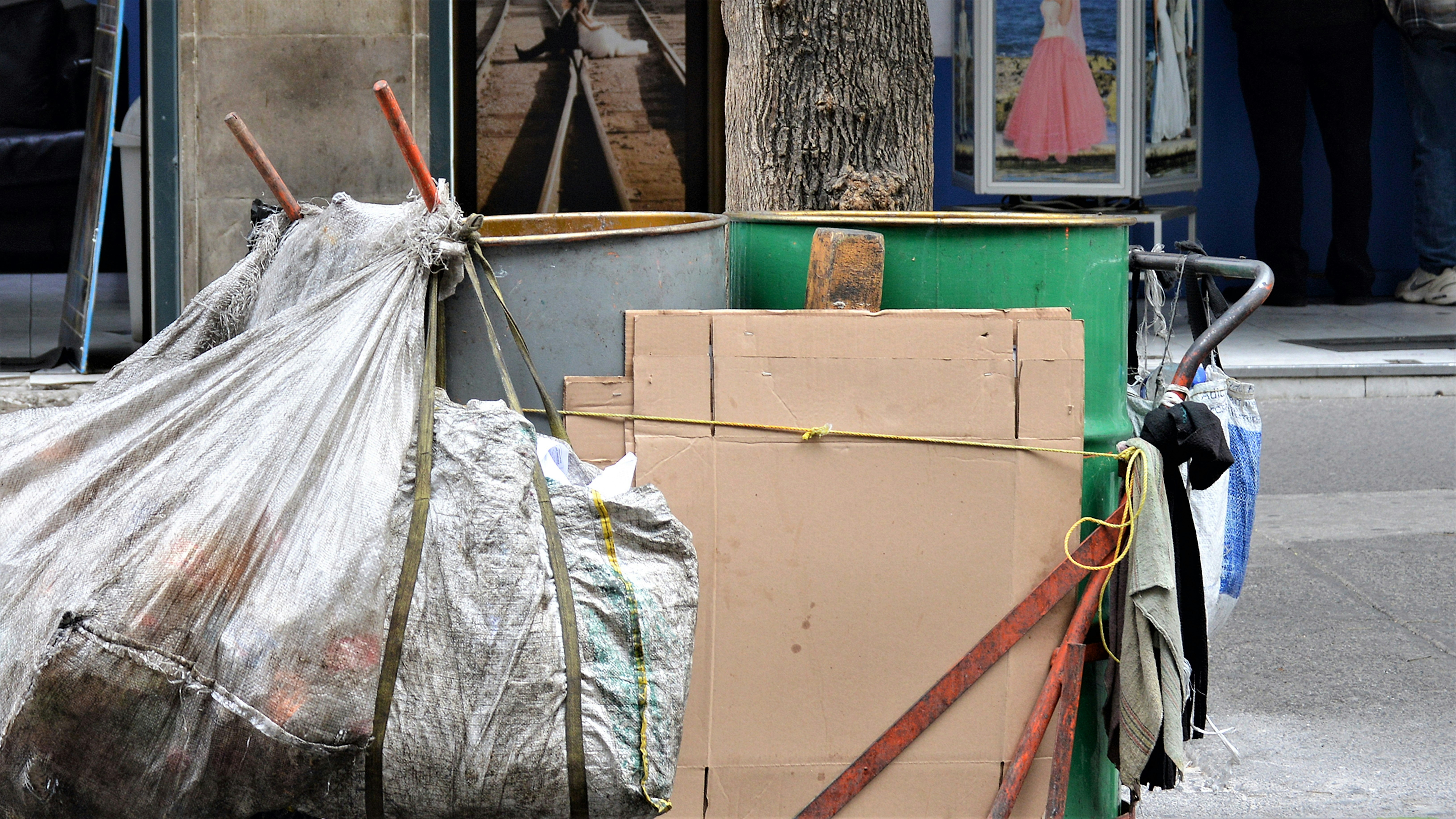 Yard waste and debris hauling