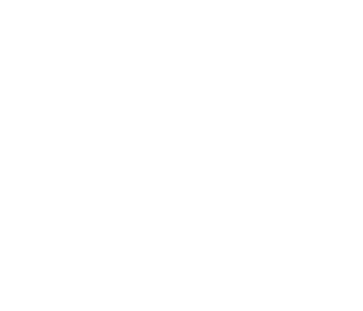 LadyBoss