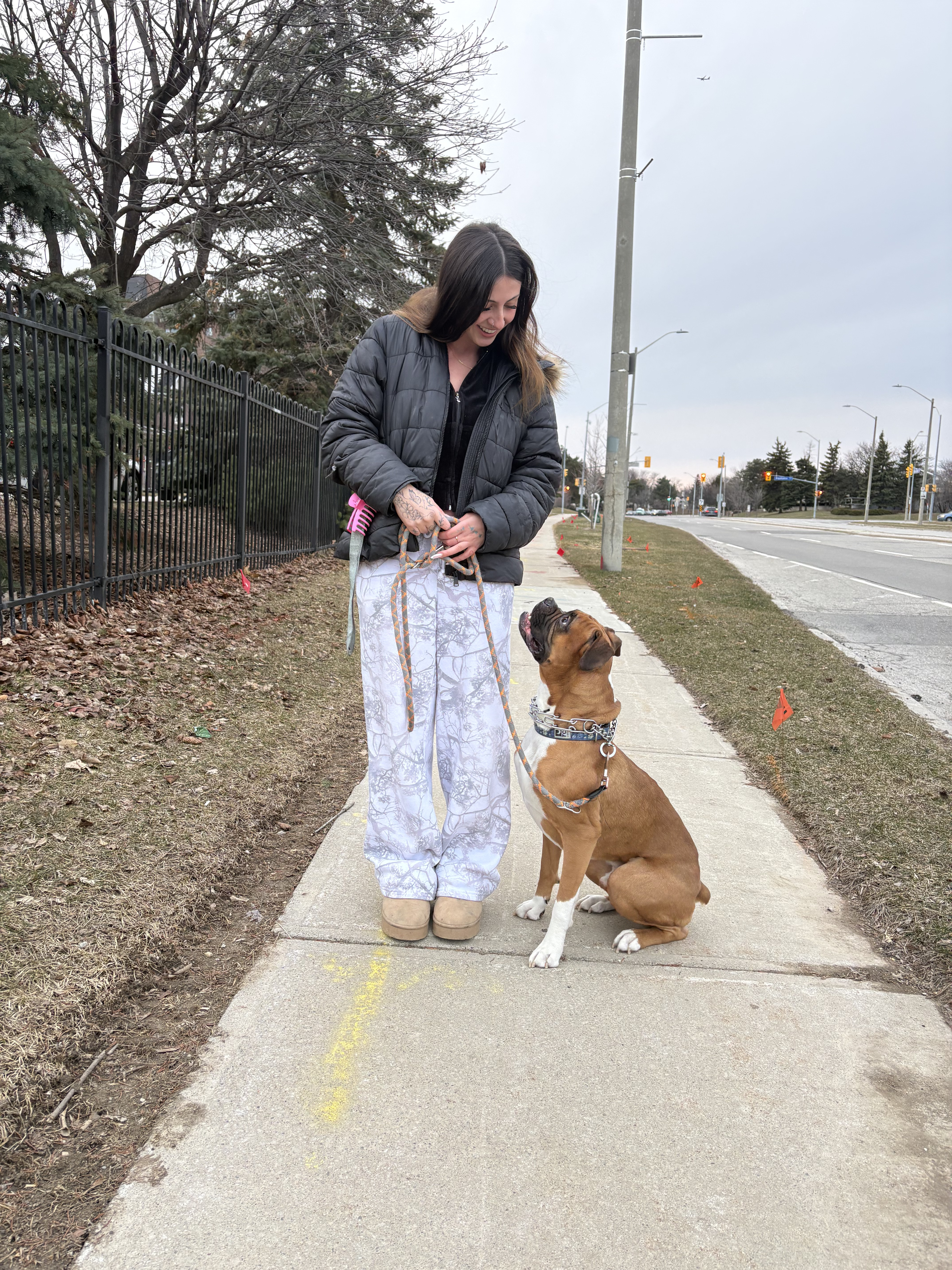 Overnight Pet Sitting Toronto, ON