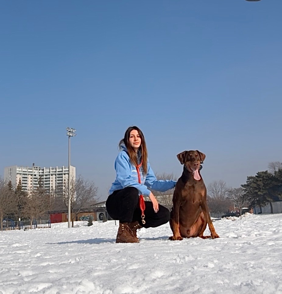 Dog Walking & Pet Sitting Mississauga, ON