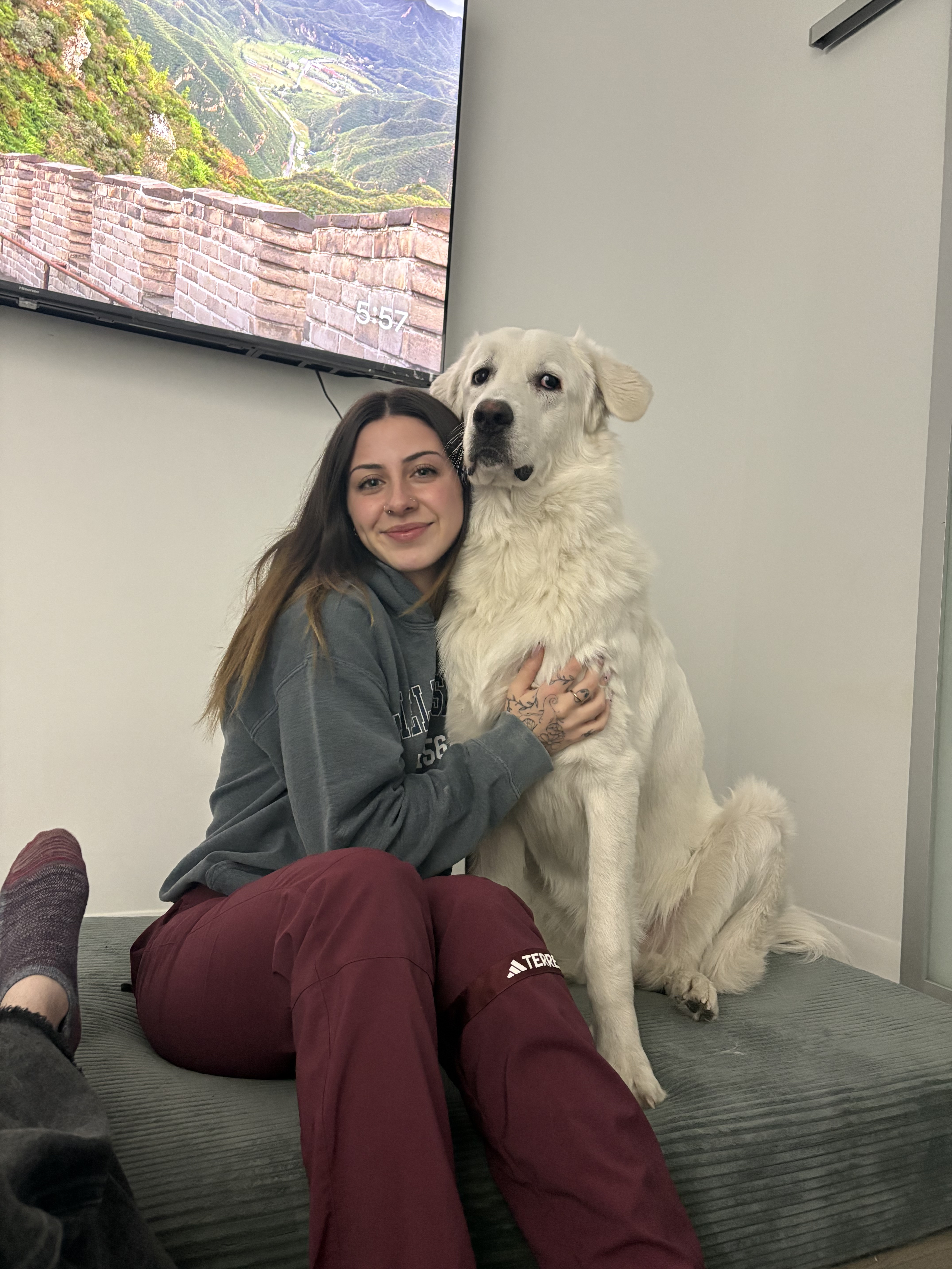 Overnight Pet Sitting Toronto, ON