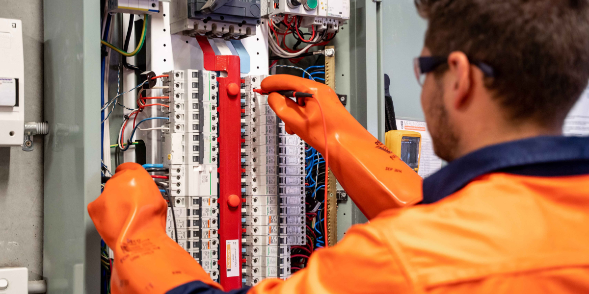 Structure of an Electrical Trade School Program