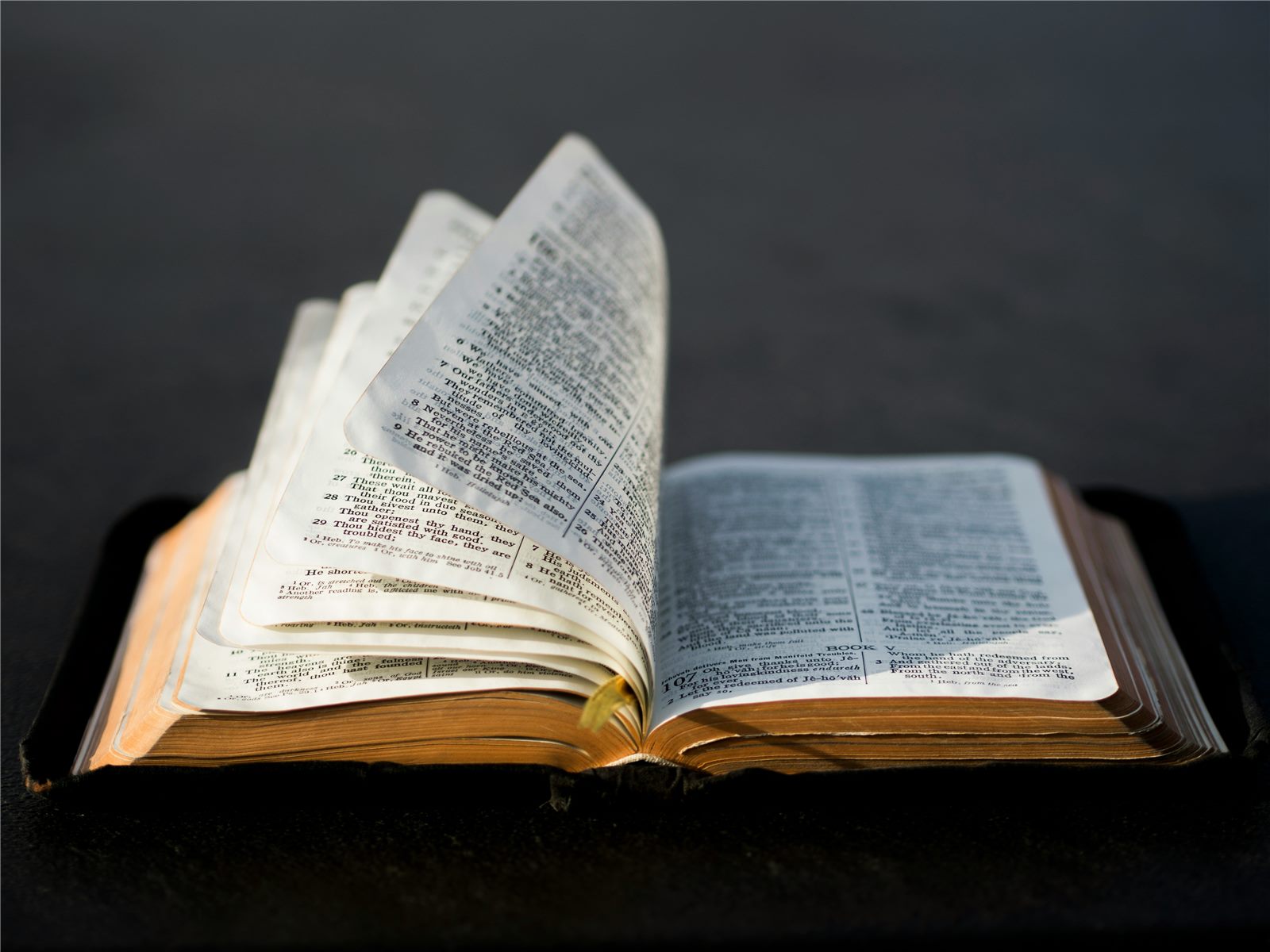 An open King James Bible